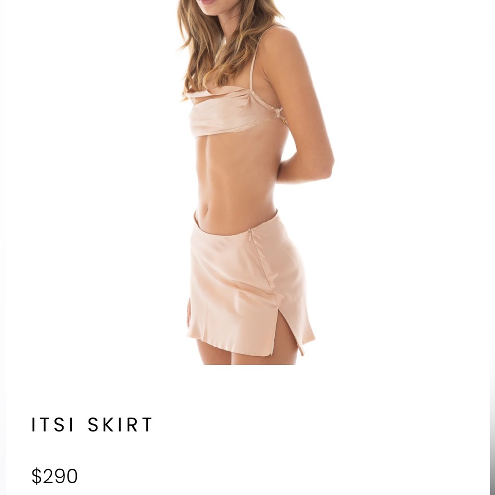 AYAI itsi skirt (worn once)